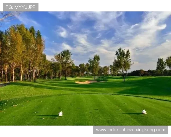 哥斯达黎加俱乐部拟参与国际青训联盟提升交流频率